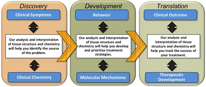 INTiDYN process graphic